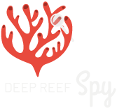 Deep Reef Spy